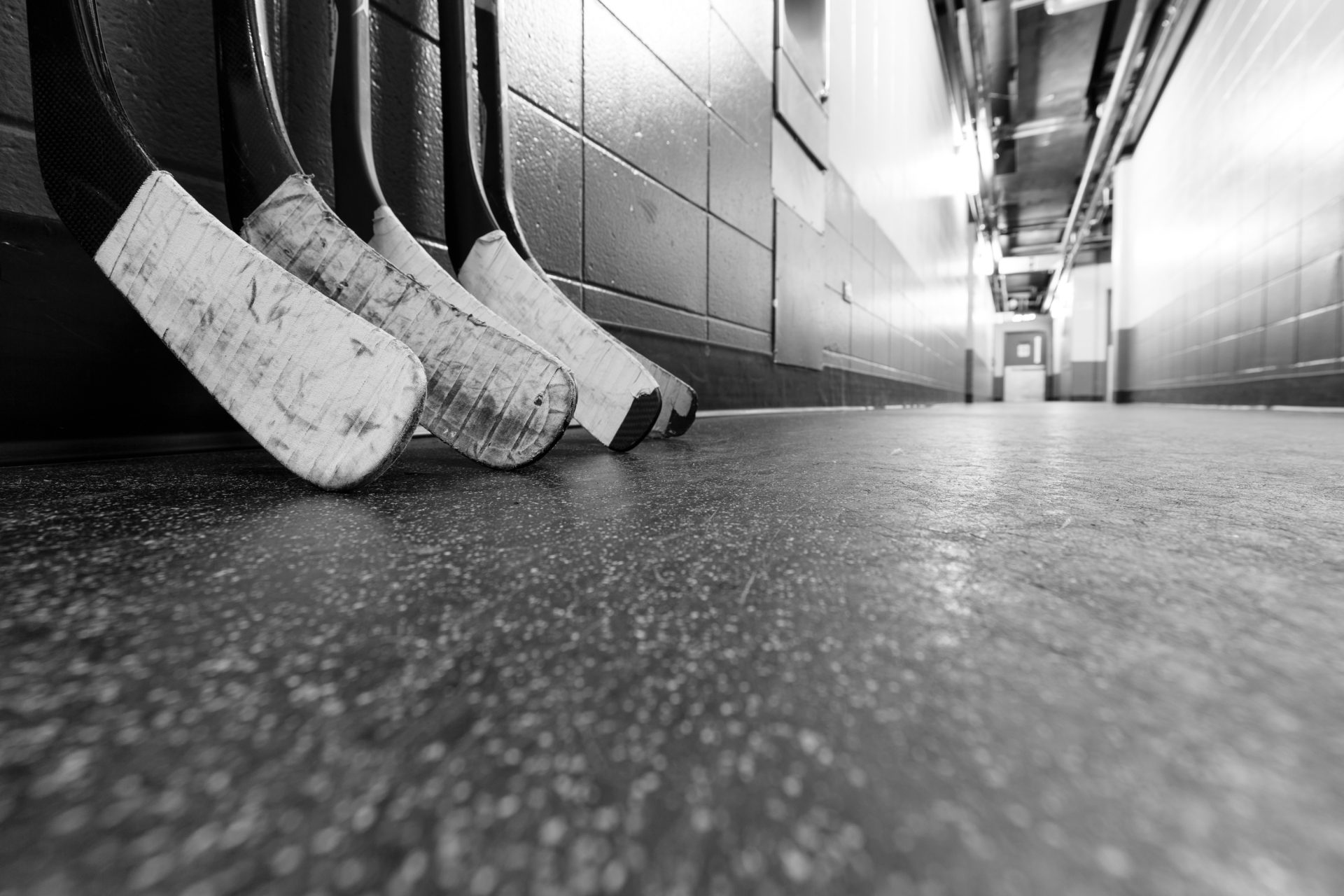 AdobeStock_129631799_k AdobeStock_129631799_k